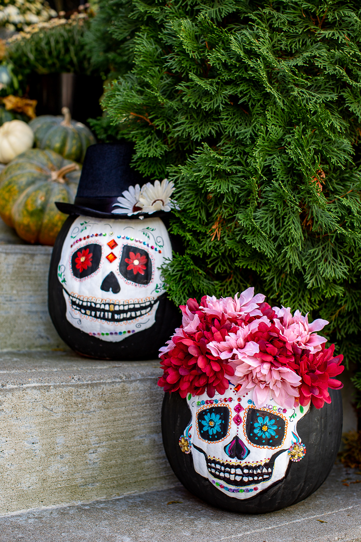 Skull pumpkins store