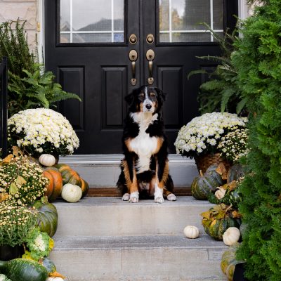 Fall Porch