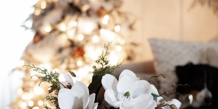 Cozy Christmas Tour Part 2