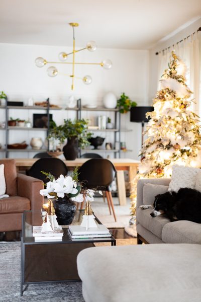 Cozy Christmas Tour Part 2