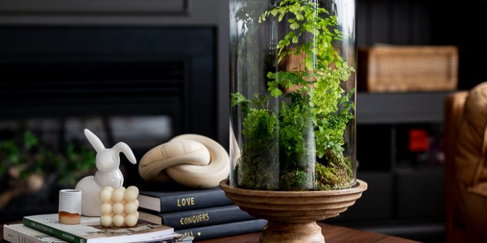 Spring Cloche