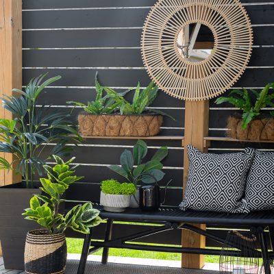 Outdoor Sitting Area and Restored Bench and Chairs.