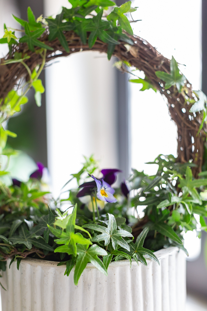 Spring ivy topiary DIY