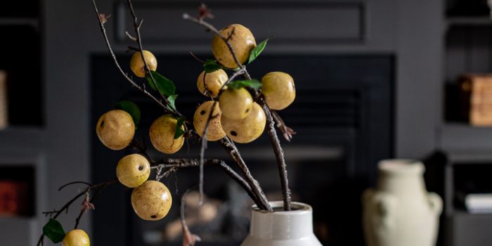 A touch of fall in the living room