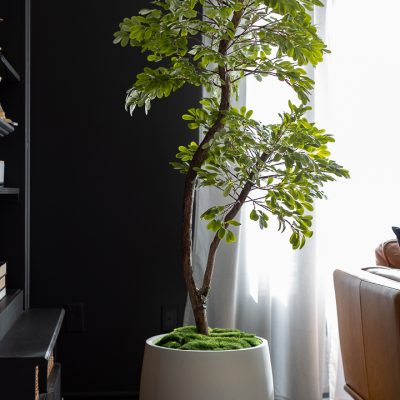 How to make artificial plants look more realistic