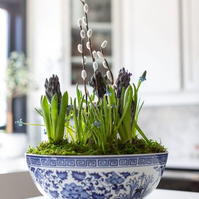 Blue Hyacinth Spring Flower Arrangement in a Blue Bowl