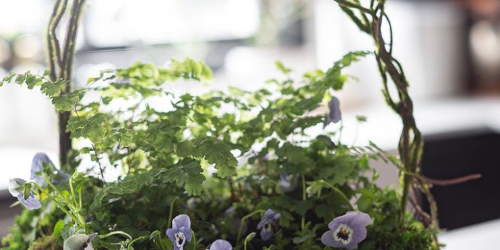 Spring Nest Planter DIY