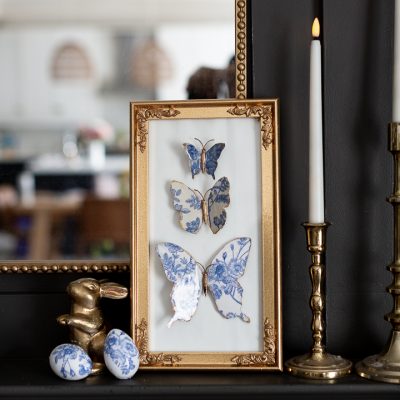 Ceramic Butterfly Specimen Display